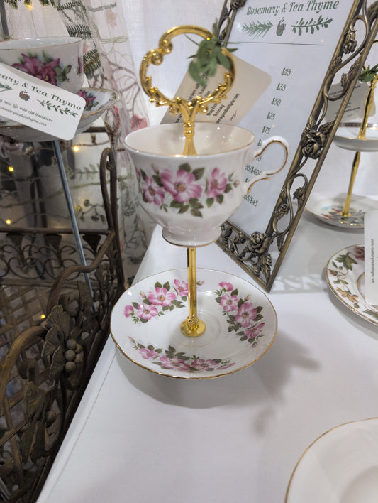 Teacup Tulip